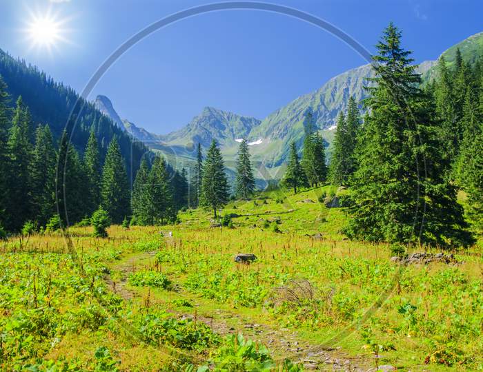 Summer Mountain Pasture In Sunny Day