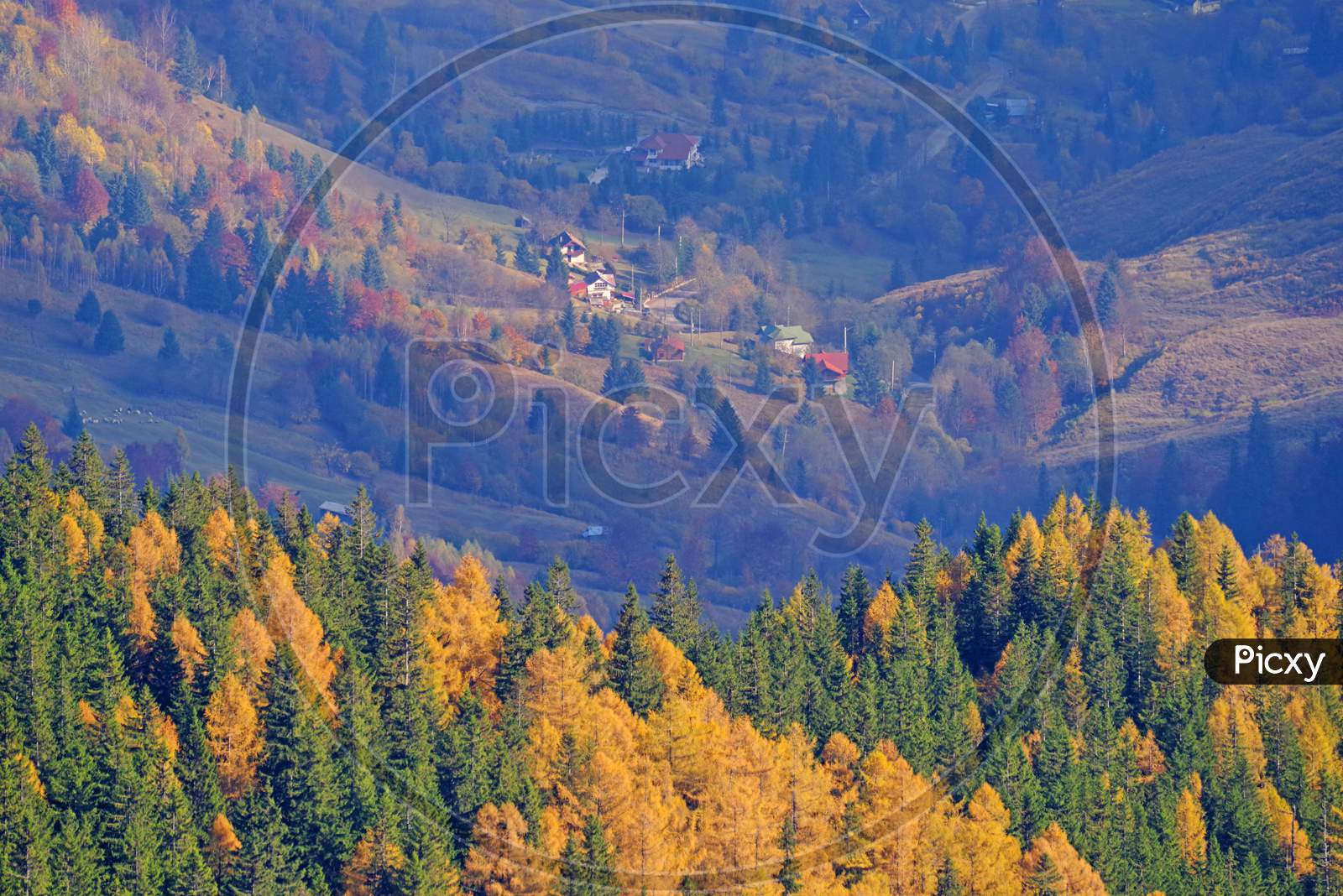 Autumn Trees And Village Behind