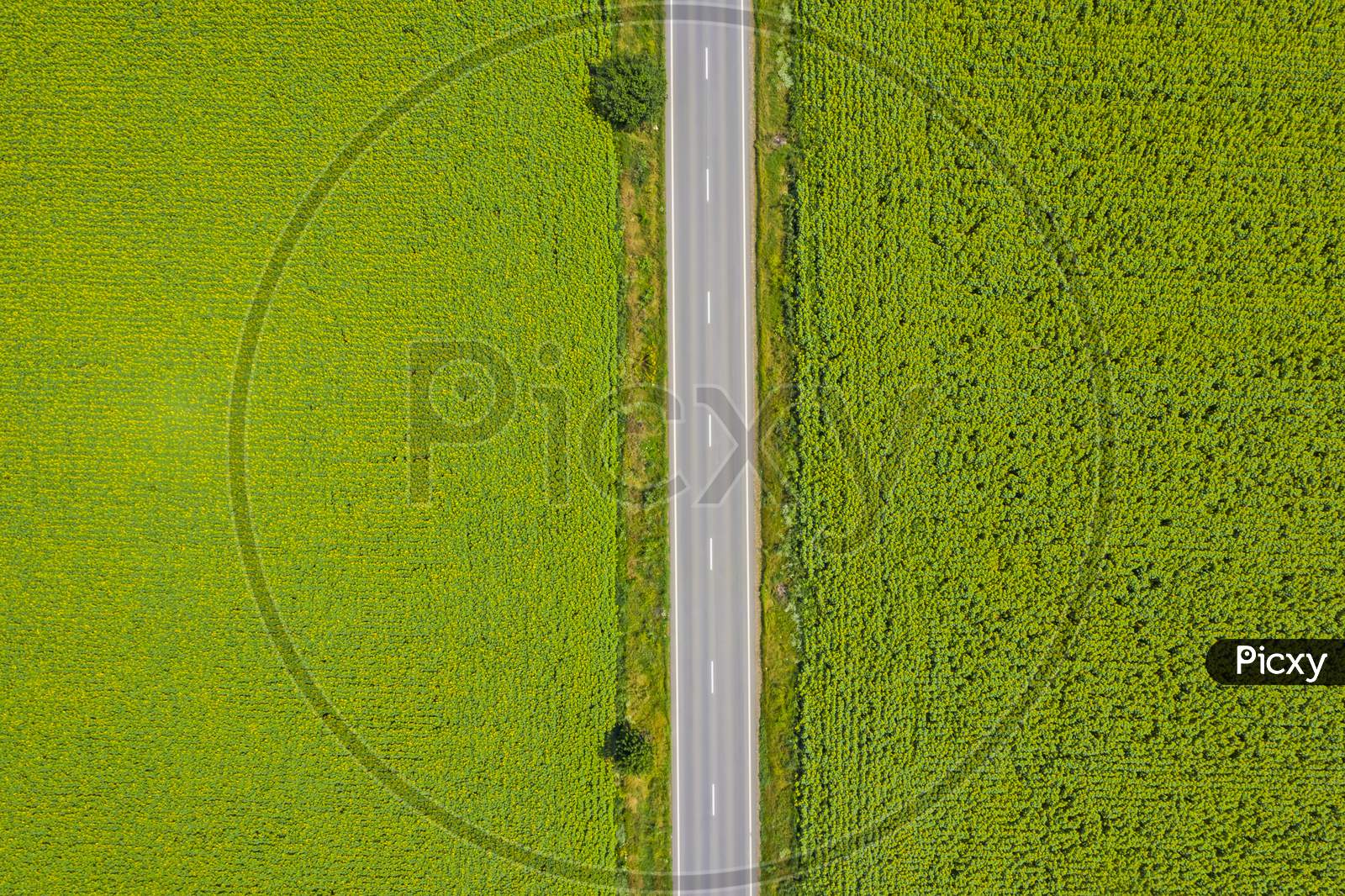 Highway Road Between Green Fields