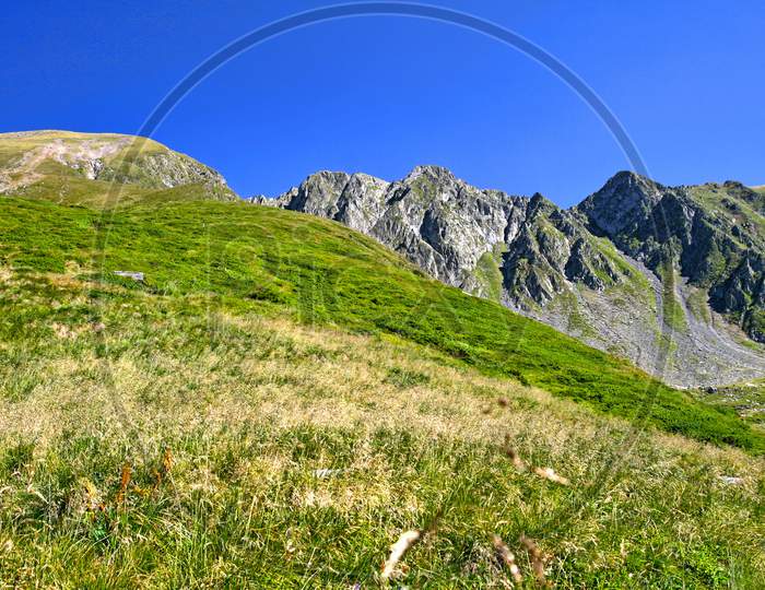 Alpine Meadow In Summer Mountain