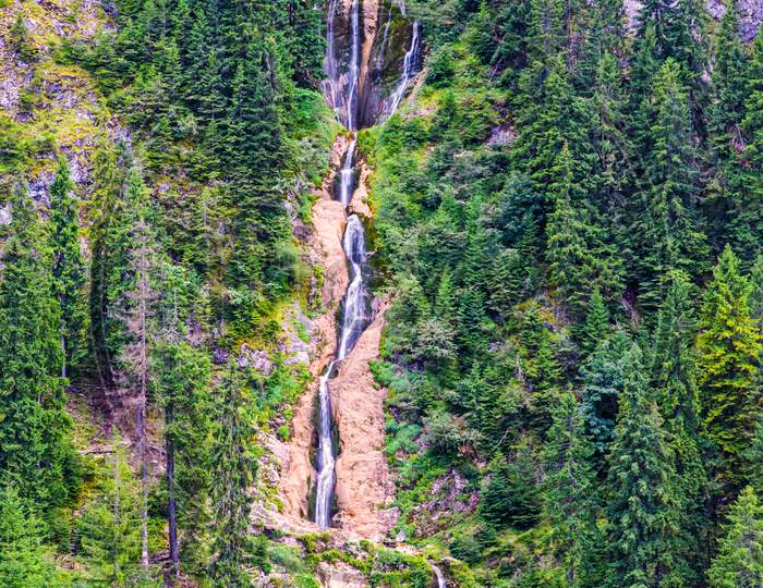 Forest Waterfall In Summer Mountain