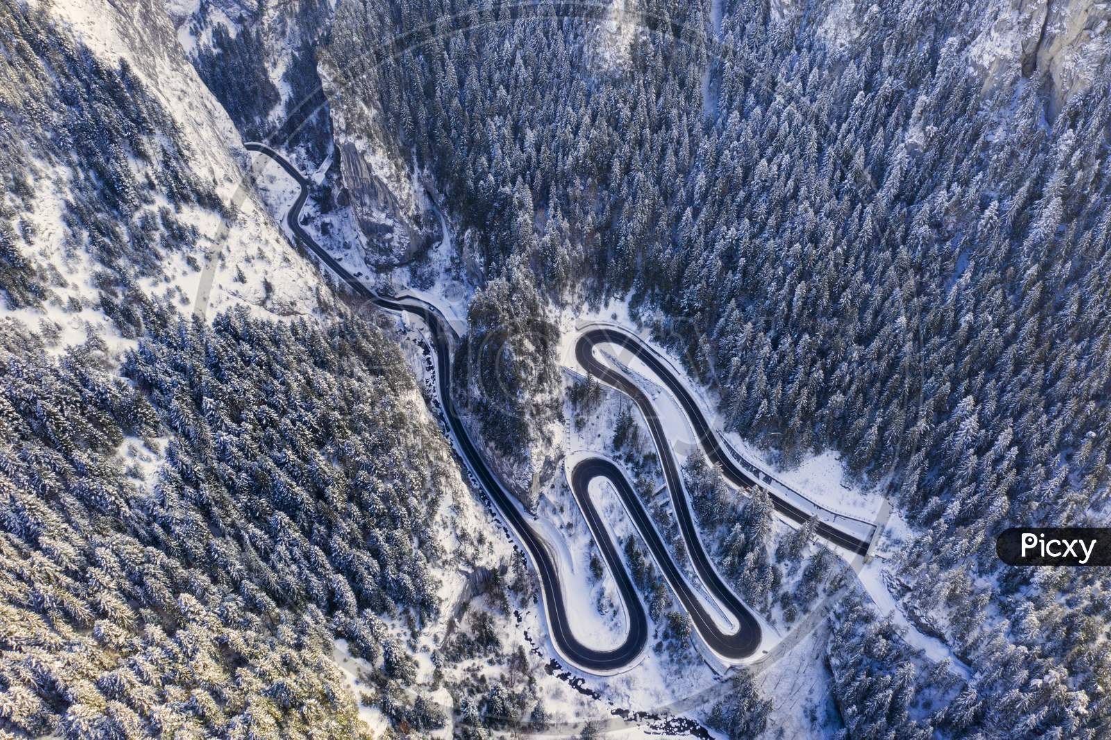 Curvy Road In Winter Forest
