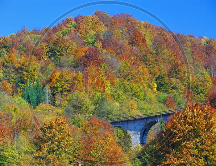 Bridge In Autumn Forestscene