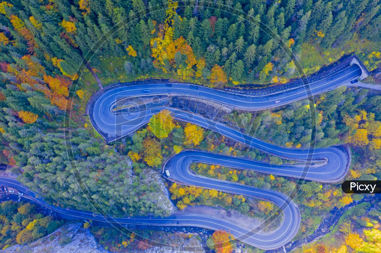 Curvy Road In Autumn Forest