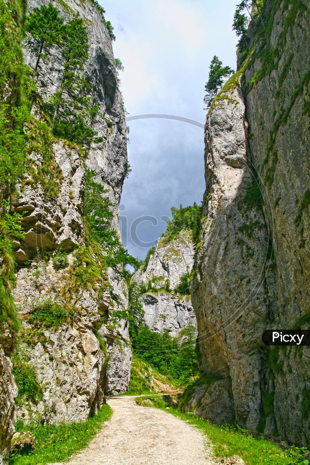Vertical Wall In The Precipice Of Zarnesti