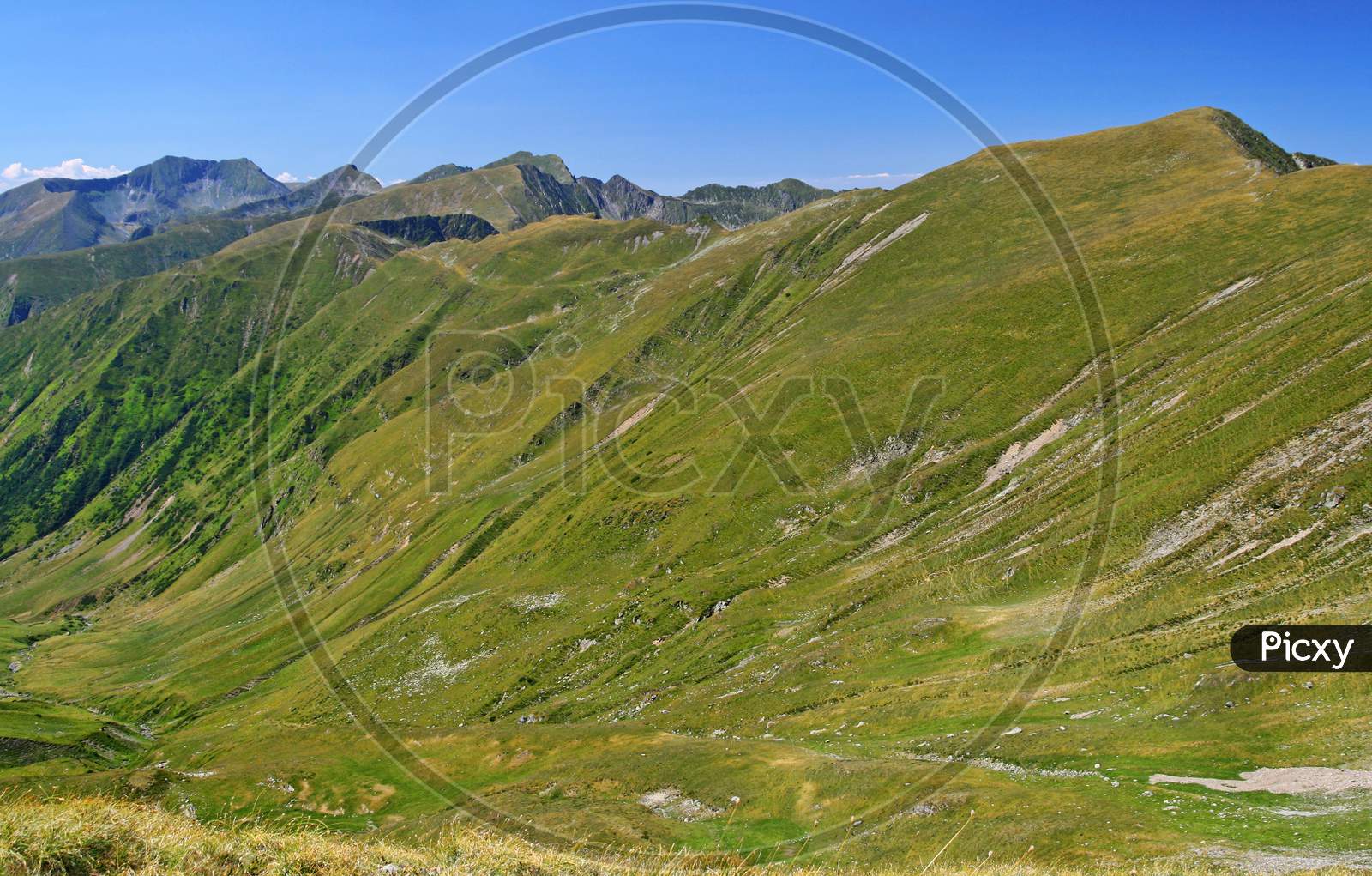 Summer Carpathians Landscape Alpine Area