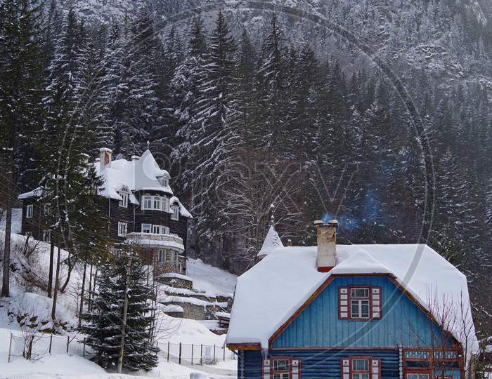 Winter Scene, Snow Covered Houses And Forest Near Road