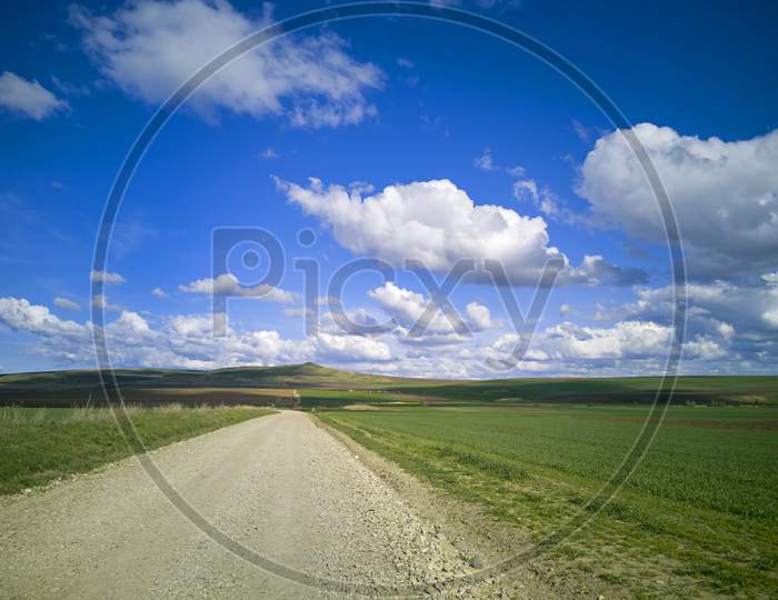 Road In A Rural Landscape