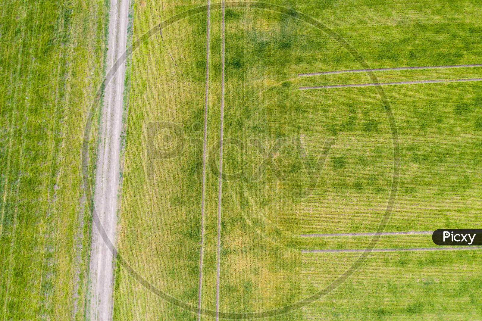 Green Field From Above