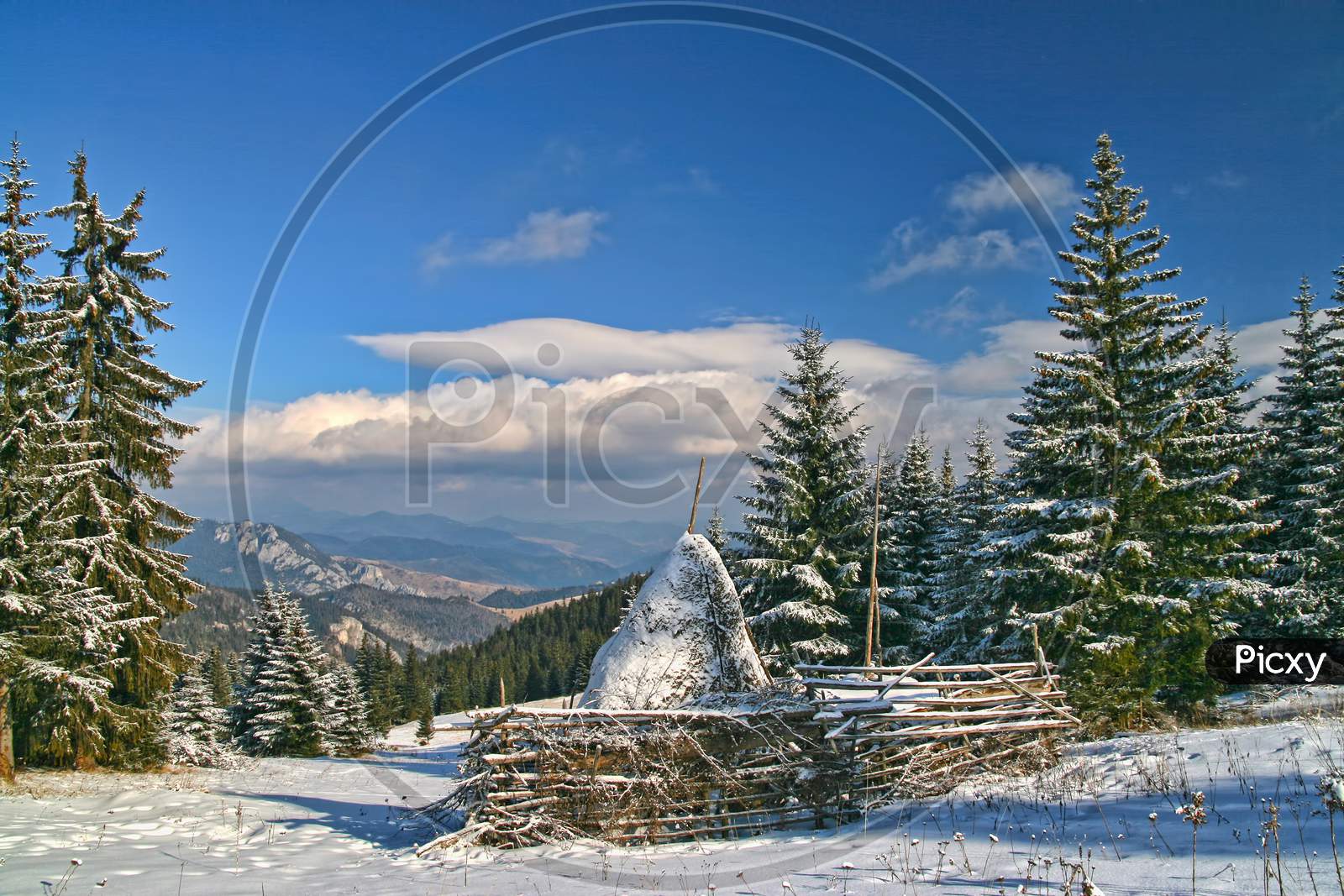 Winter Landscape In Opening Forest, Hay Stack In Center