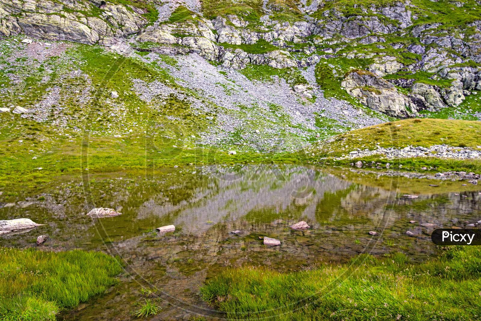 Clear Water Of Pond In Summer Mountain