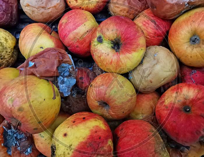 Rotten Apple Fruits As Background