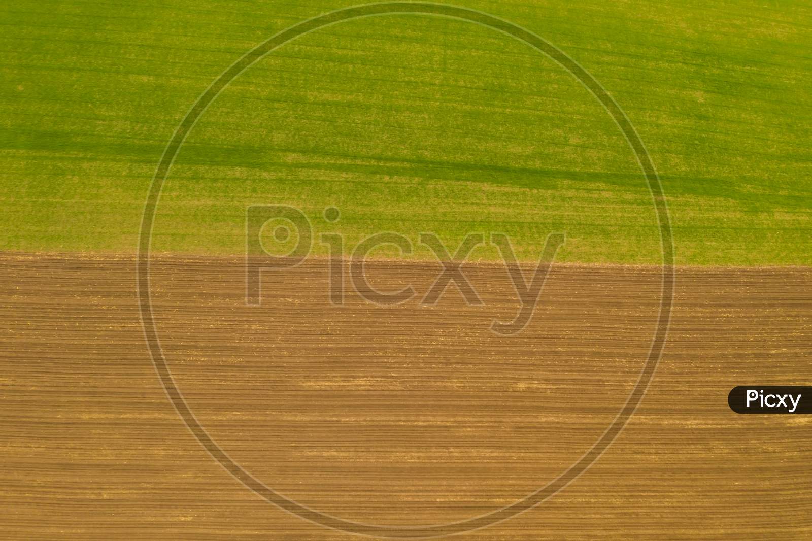 Fields Texture From Above