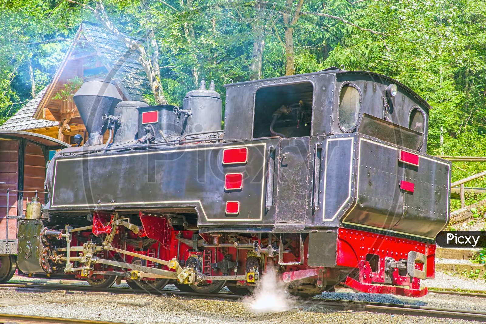 Steam Engine Train In Forest
