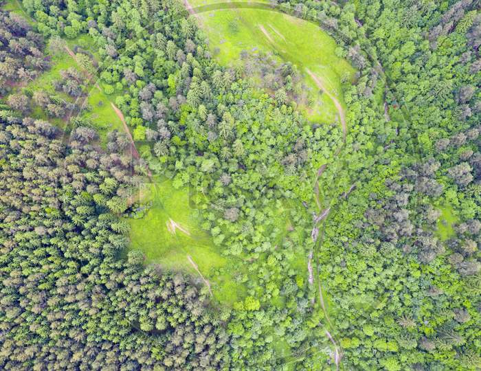 Green Pasture And Forest From Above