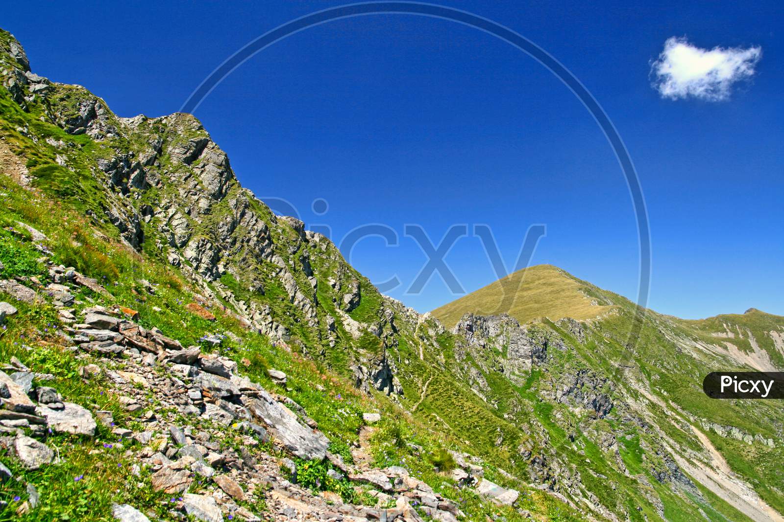 Summer Mountain Crest In Fagaras Mountains