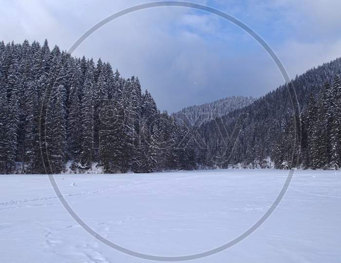 Winter Landscape Of Frozen Lake In The Forest