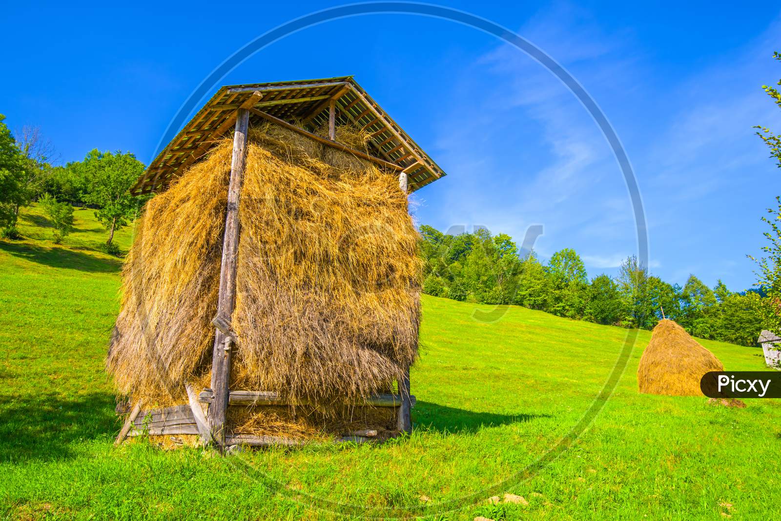 Hay Stack Under A Canopy