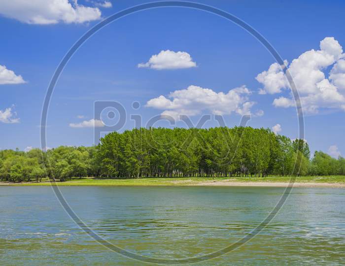 Forest River Landscape In A Sunny Summer Day