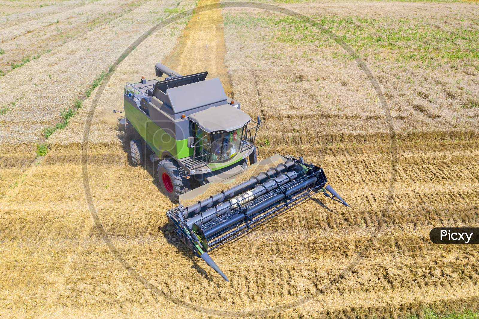 Working Combine Harvester On Wheat Field