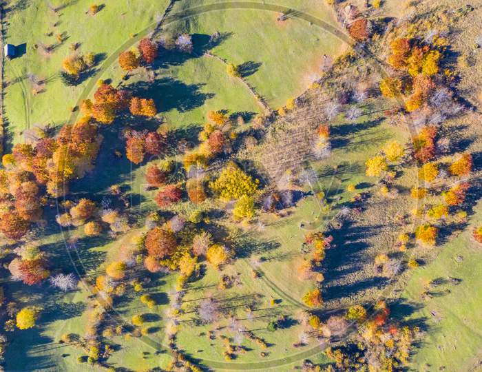 Beautiful Autumn Pasture From Above