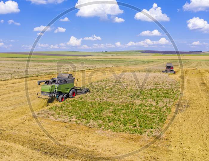 Harvest Wheat Field