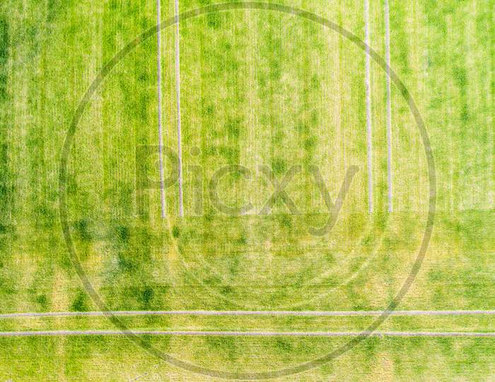 Tractor Traces On Green Field
