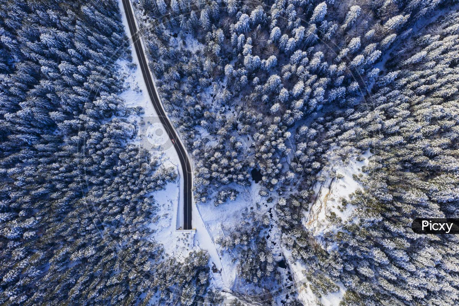 Winter Forest, Tunnel Entrance From Above