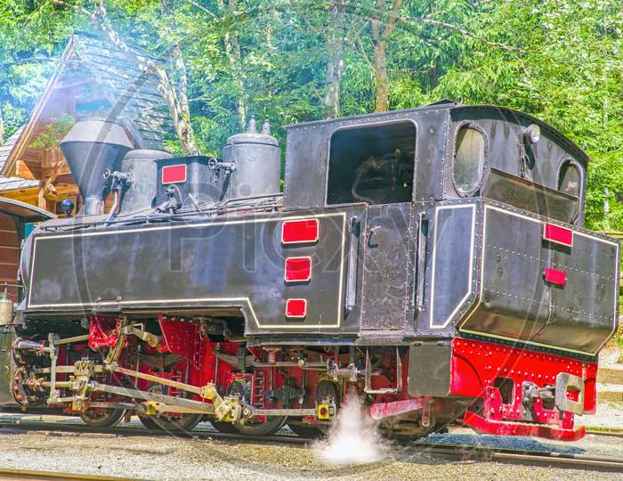 Steam Engine Train In Forest