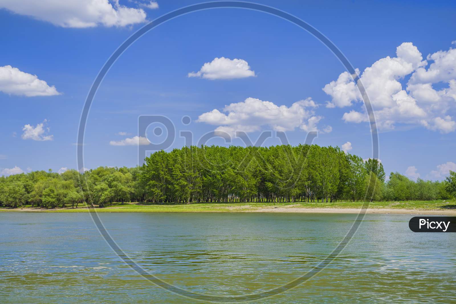 Forest River Landscape In A Sunny Summer Day