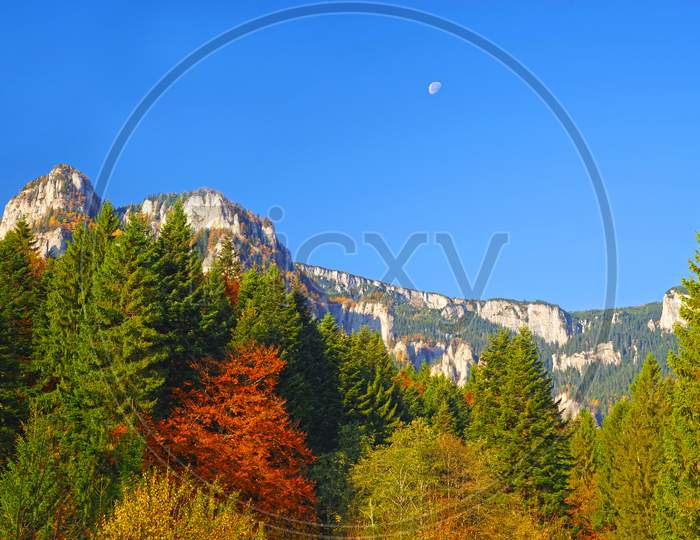 Autumn Forest And Mountain
