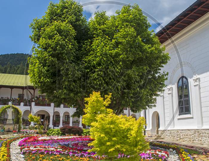 Flower Bed At Agapia Monastery