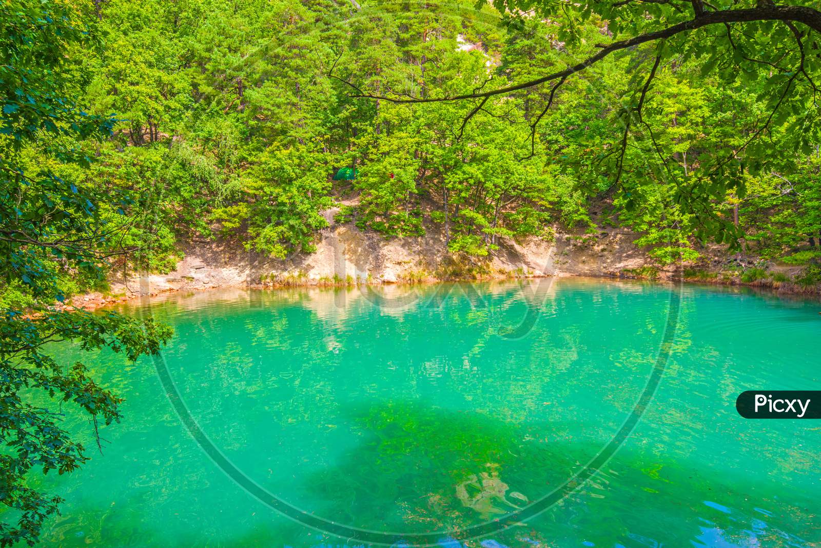 Summer Forest Lake Emerald Color Effect
