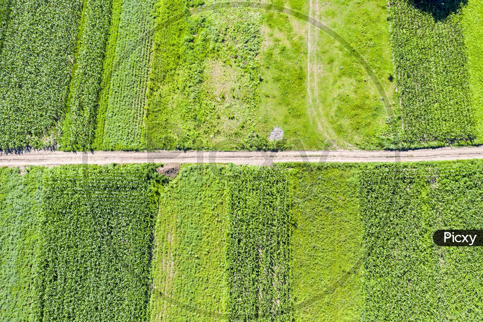 Green Fields Side By Side From Above