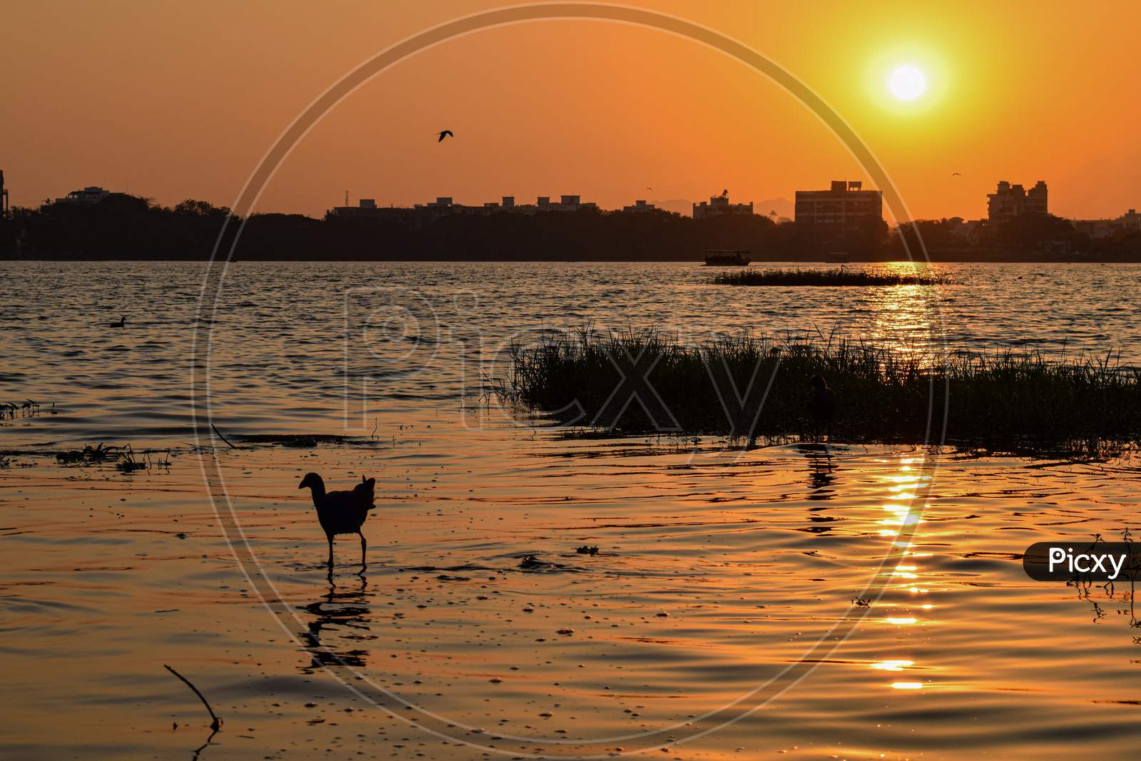 A Beautiful Calm And Golden Sunset At Rankala Lake In Kolhapur City.