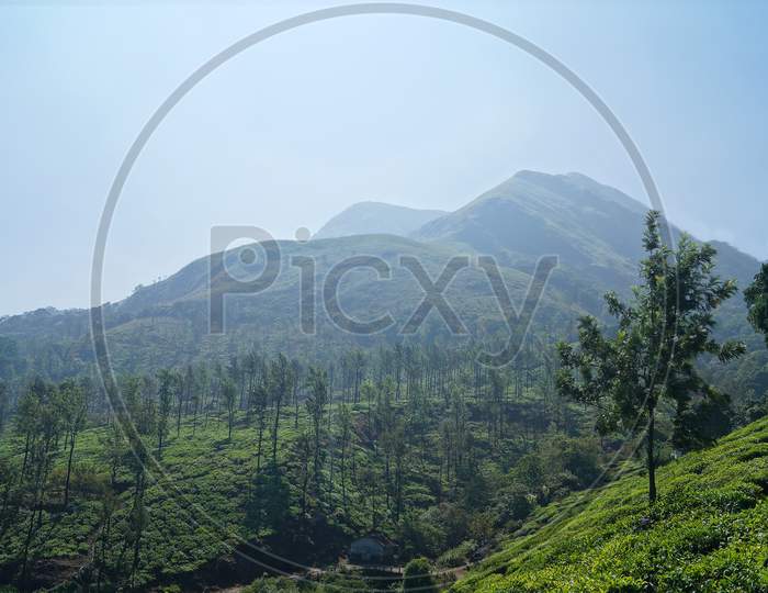 Chembra Peak In Wayanad, Kerala. Chembra Peak Is One Of The Highest Peak In The Western Ghats And The Highest Peak In Wayanad Hills, At 2,100 M Above Sea Level.