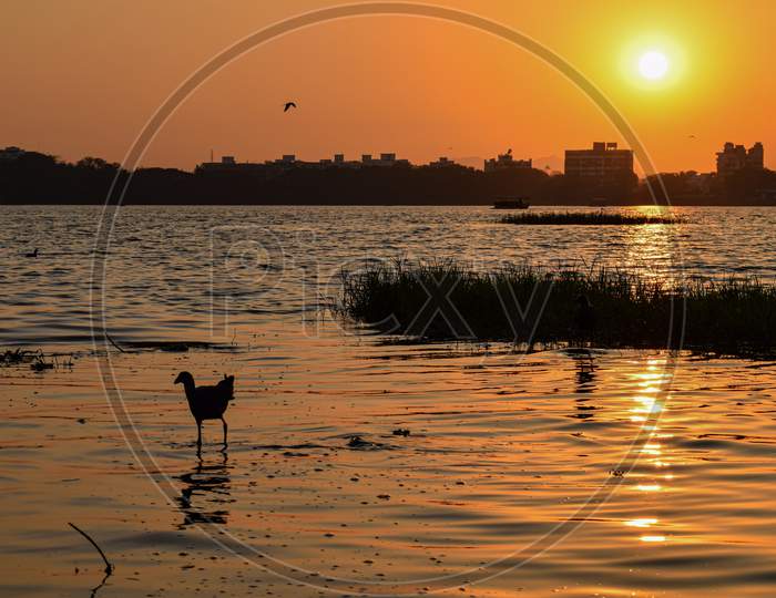 A Beautiful Calm And Golden Sunset At Rankala Lake In Kolhapur City.
