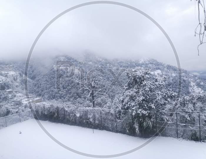 White covered mussoorie