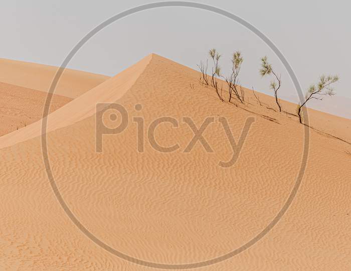 Sundown In Desert. Desert Background.