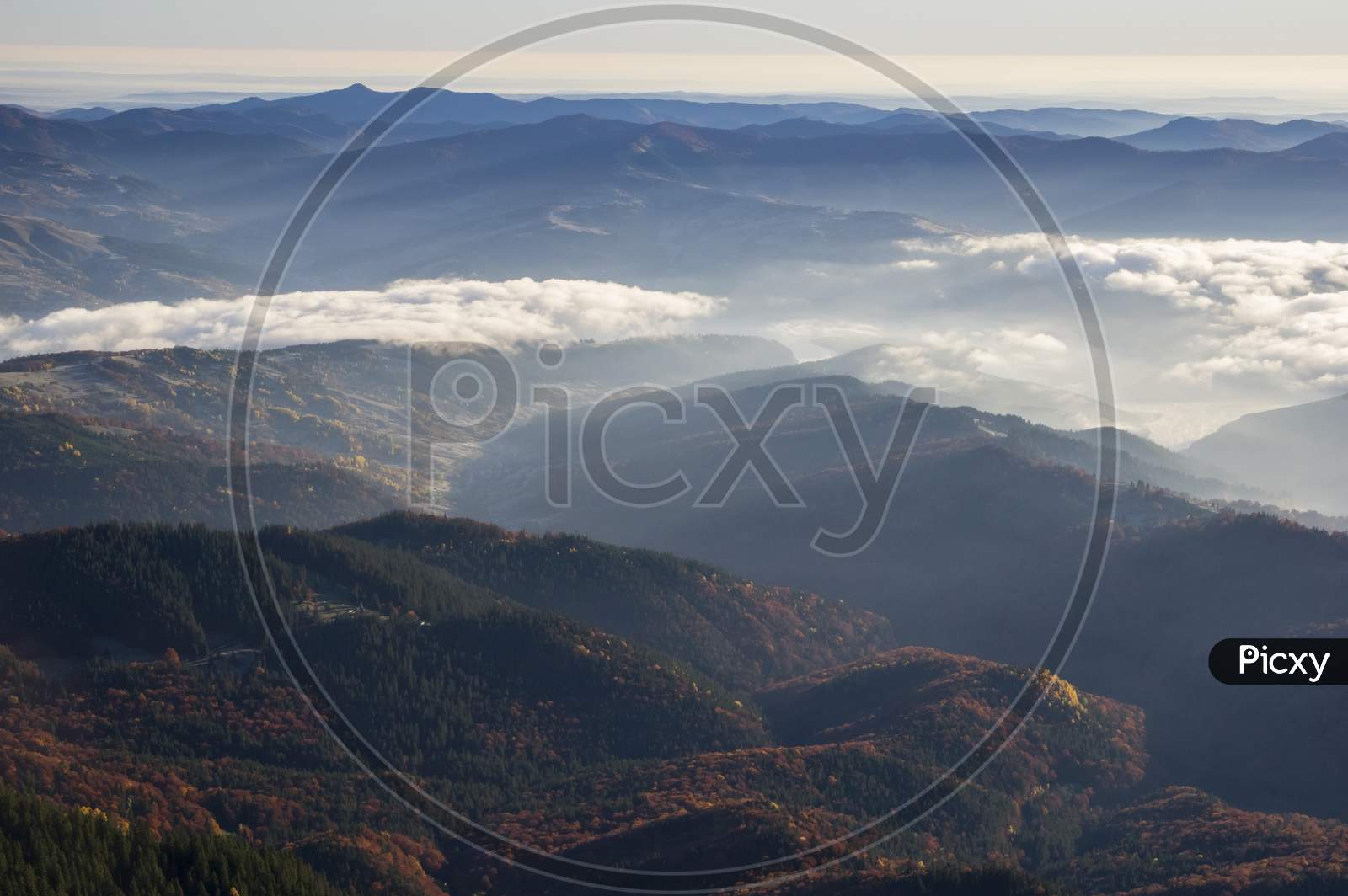 Mountain Valley And Forest Fog