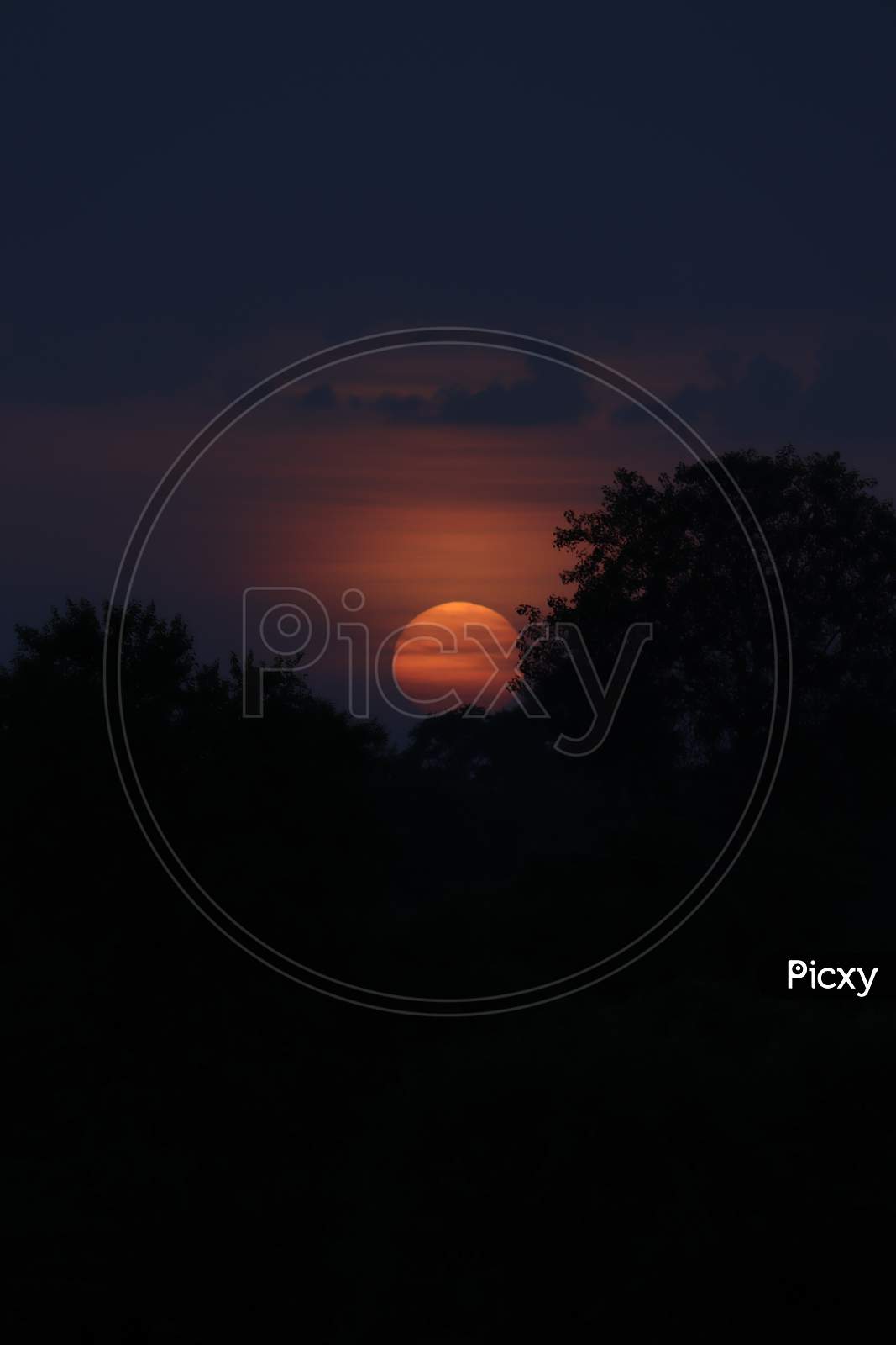 Romantic, moody and cooler full sunset with trees silhouette in the village.
