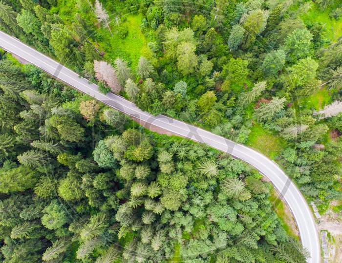 Highway Road In Forest, View From Above