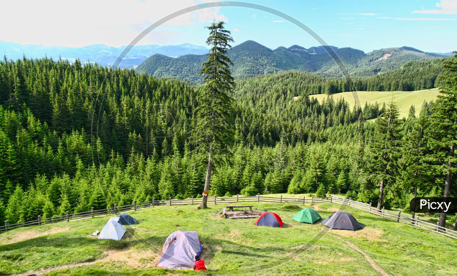 Forest Camping With Beautiful View