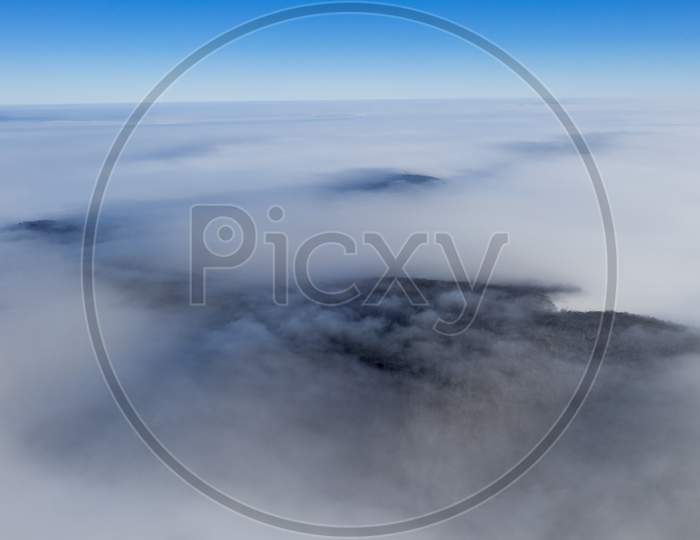 Foggy Forest And Sea Of Clouds