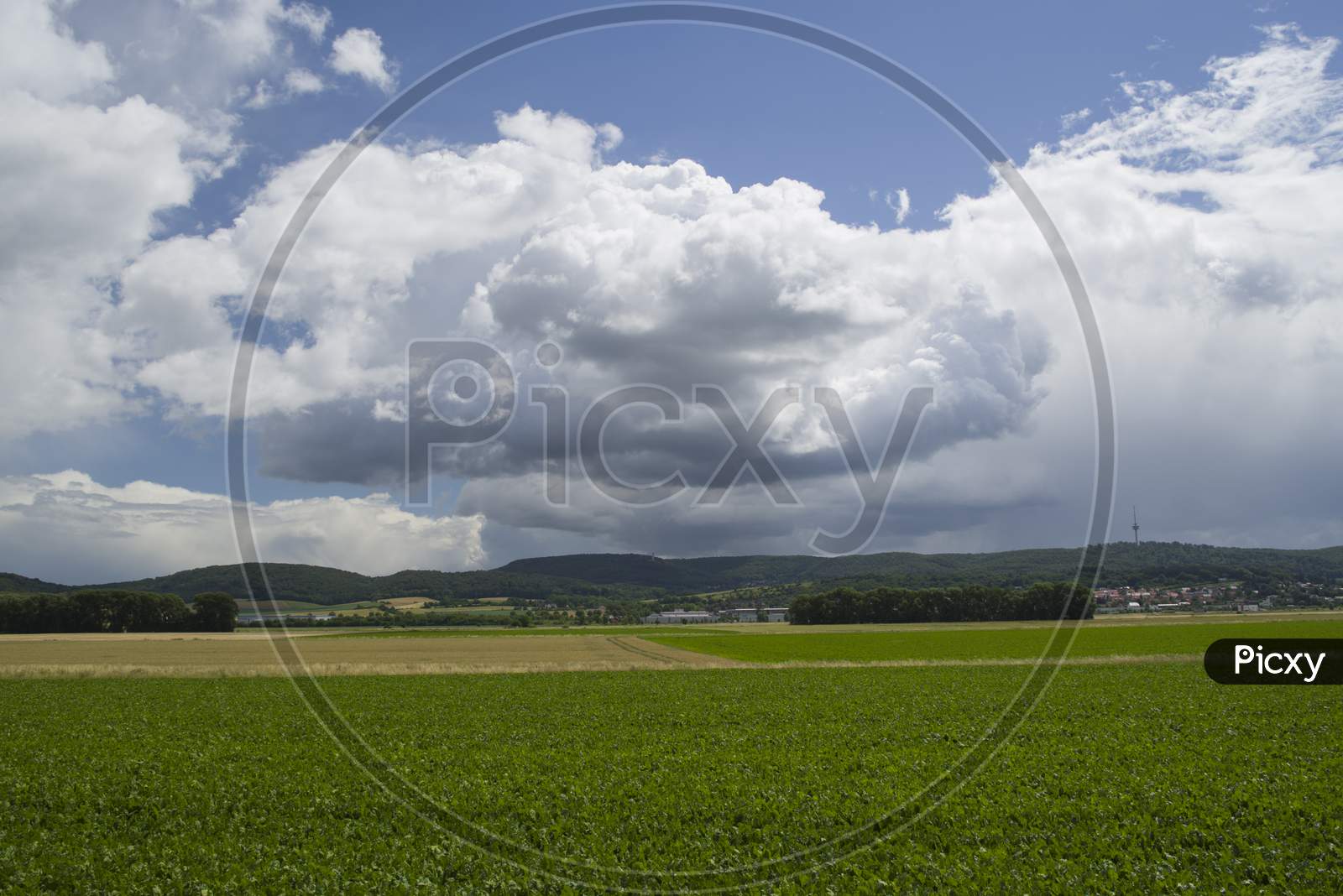 Green Field And Blue Cloudy Sky