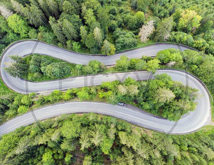 Curvy Road In Forest