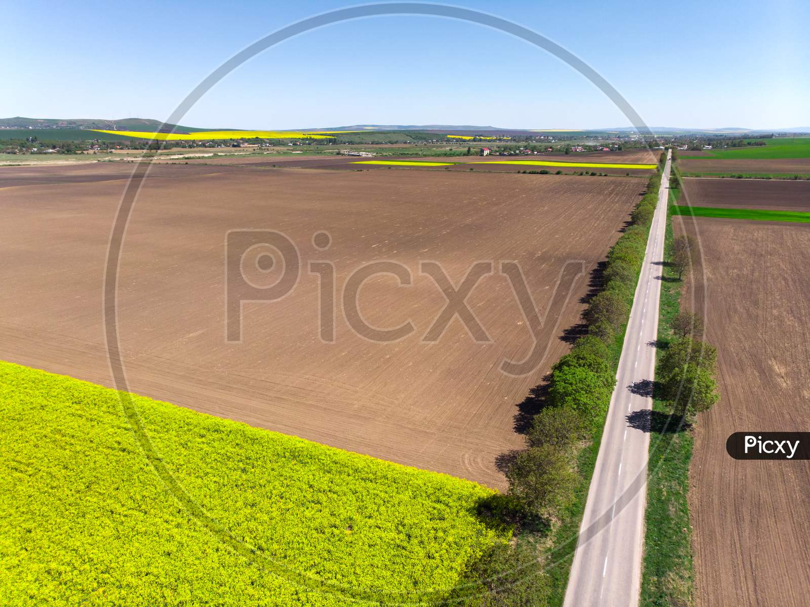 Spring Fields And Tractor Tracks