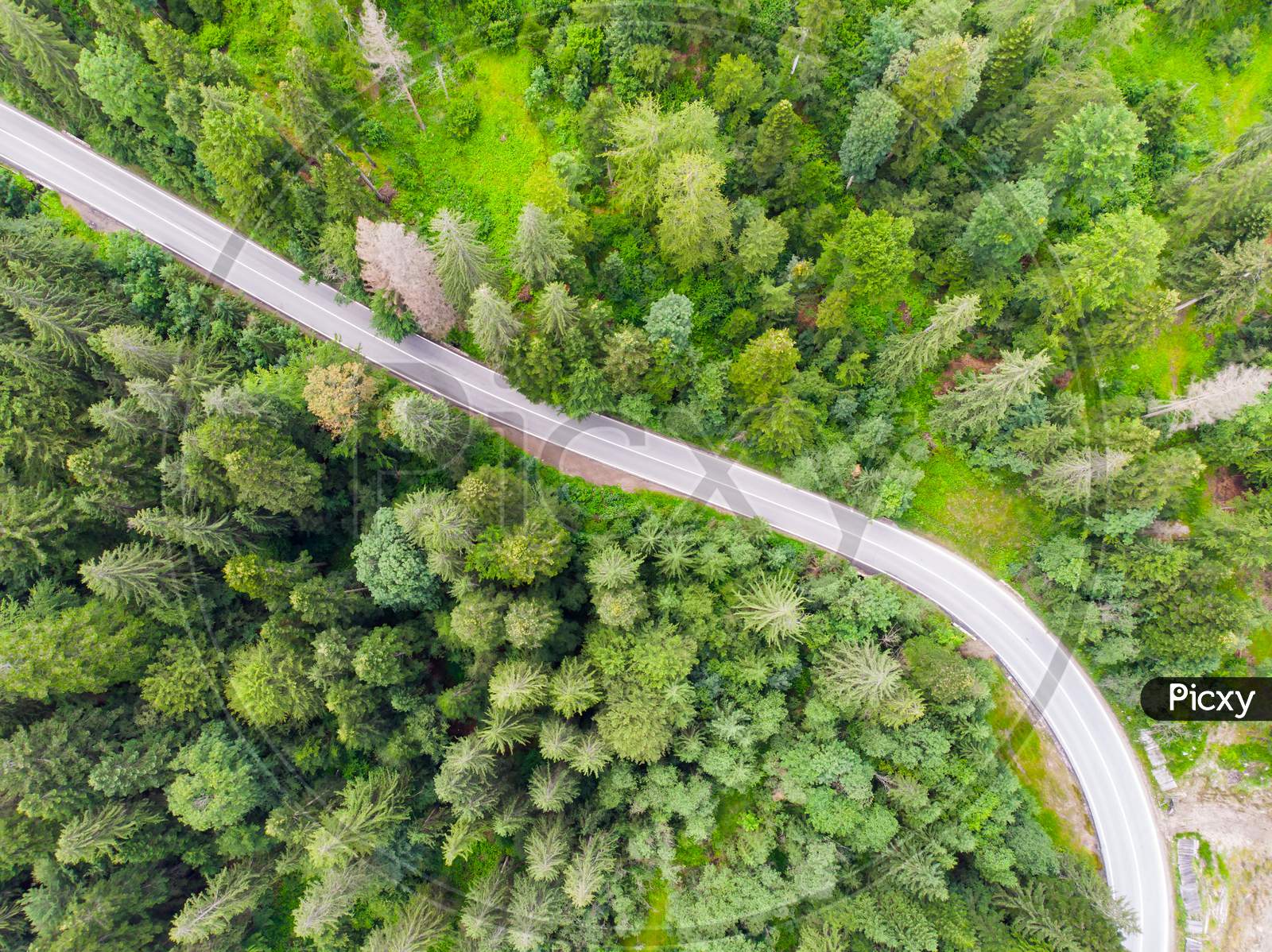 Highway Road In Forest, View From Above