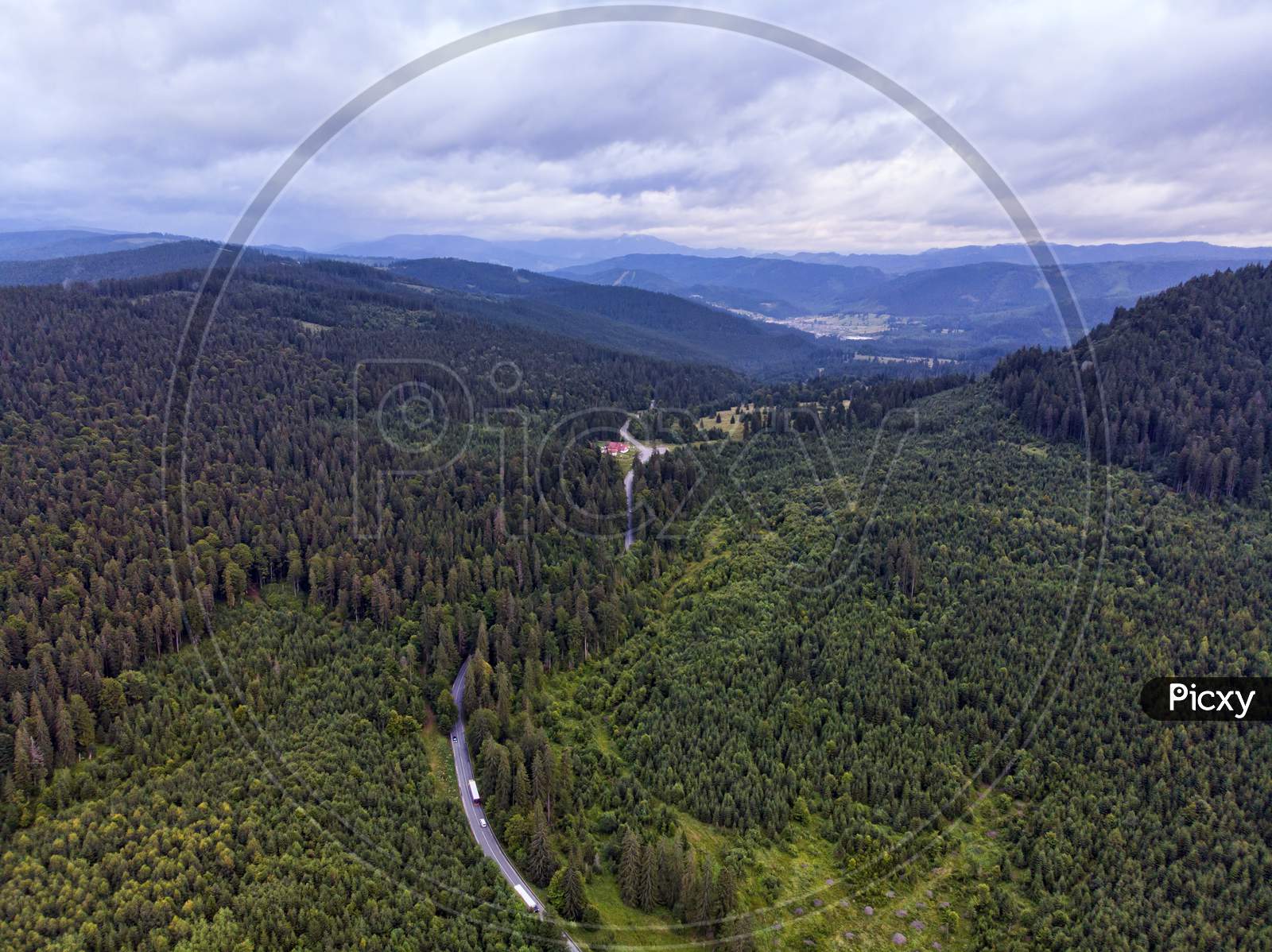 Road Through Green Forest, Aerial View