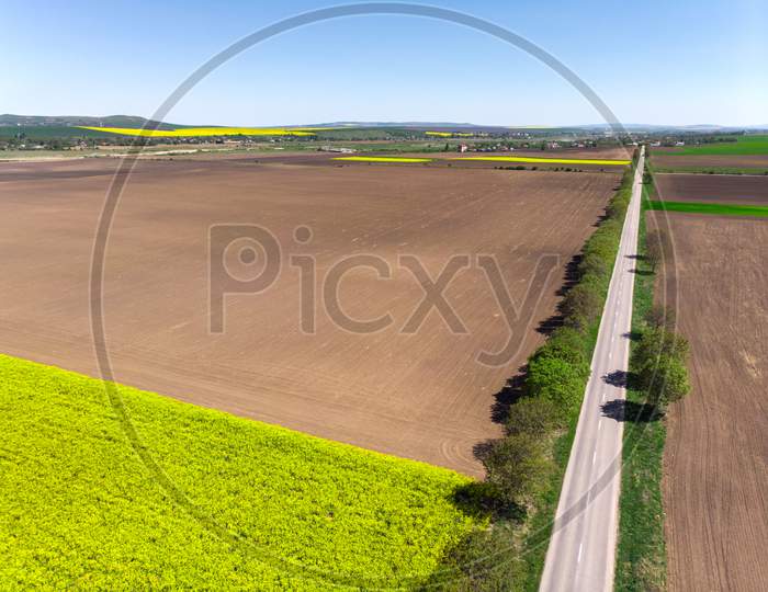Spring Fields And Tractor Tracks